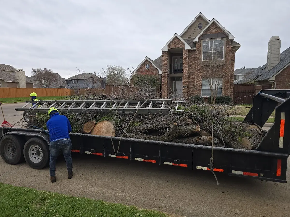 Expert Tree Fertilization with proper safety equipment in Harlem